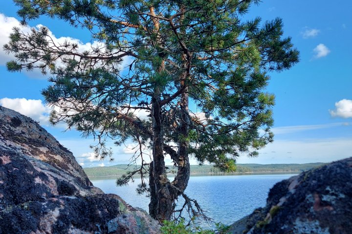 Scandtrack Kanutour Schweden 20210712162953-2