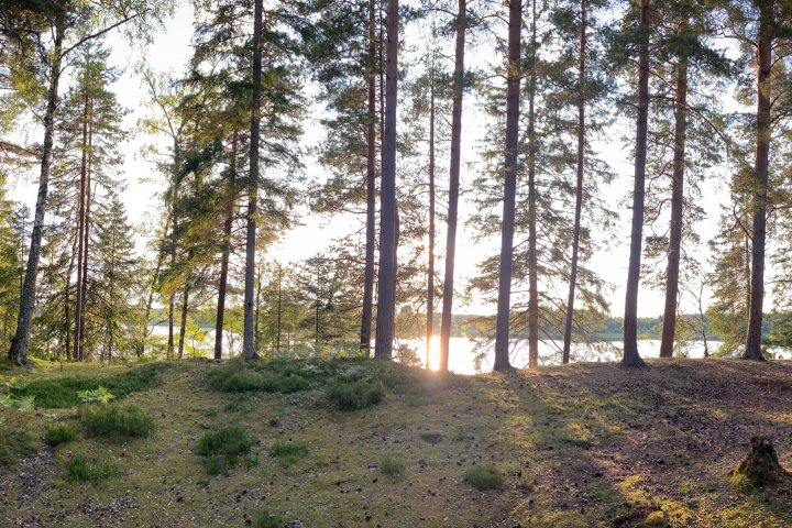 Scandtrack Kanutour Schweden IMG5521