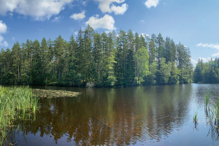 Scandtrack Kanutour Schweden IMG5543