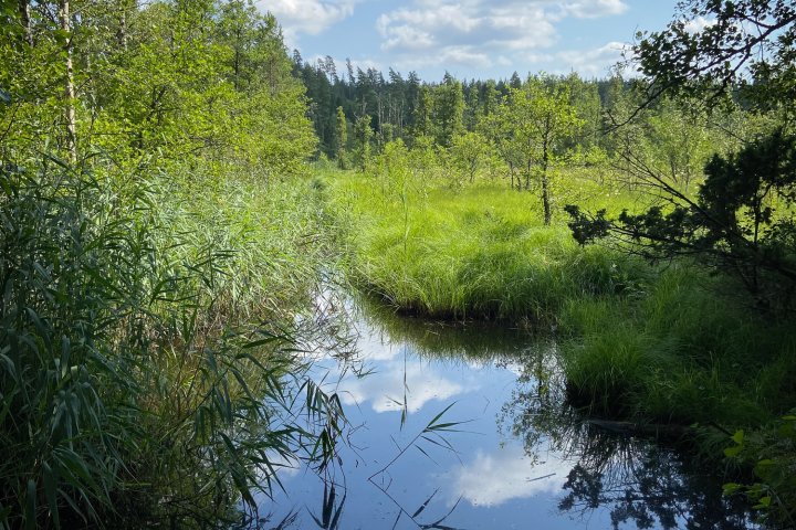 Scandtrack Kanutour Schweden IMG5583