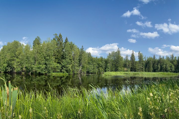 Scandtrack Kanutour Schweden IMG5597