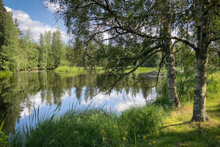 Scandtrack Kanutour Schweden IMG5599