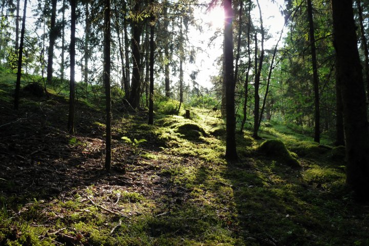 Scandtrack Kanutour Schweden P1070543