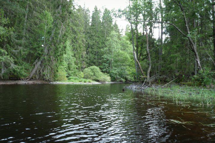 Scandtrack Kanutour Schweden P1070598