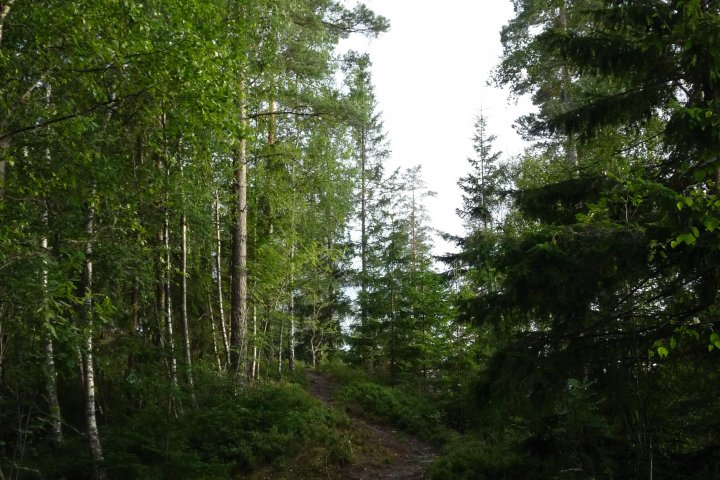Scandtrack Kanutour Schweden P1070667
