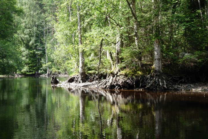 Scandtrack Kanutour Schweden P1070833