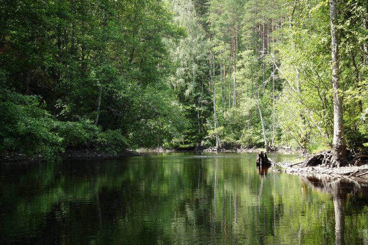Scandtrack Kanutour Schweden P1070834