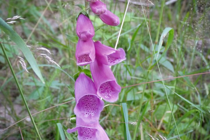 Scandtrack Kanutour Schweden P1070895