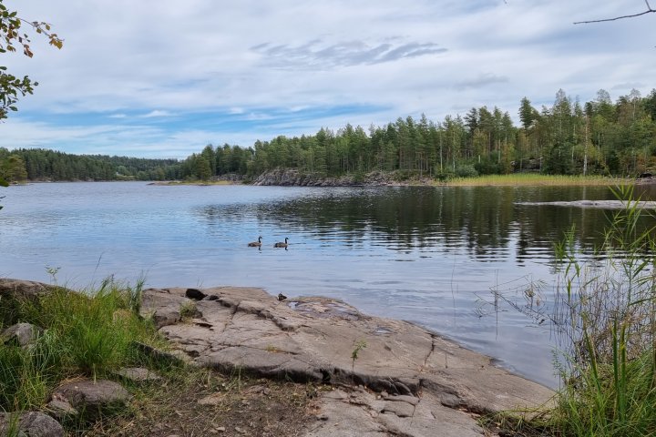 Scandtrack Kanutour Schweden 20210907131853