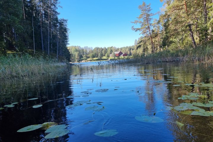 Scandtrack Kanutour Schweden 20210908114747