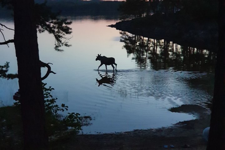 Scandtrack Kanutour Schweden 20210830205010