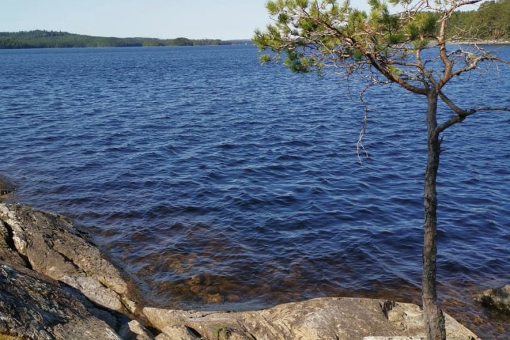 Scandtrack Kanutour Schweden 2423703229550203550478008803446143000657719n