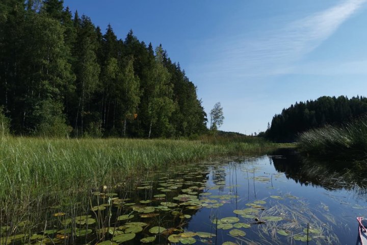 Scandtrack Kanutour Schweden 24238326010489530459055776856837843967586849n