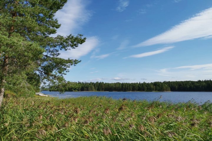 Scandtrack Kanutour Schweden 2423994295795066098677735847168266724909806n