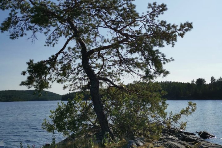 Scandtrack Kanutour Schweden 2424564085672852811862073640216846039144425n