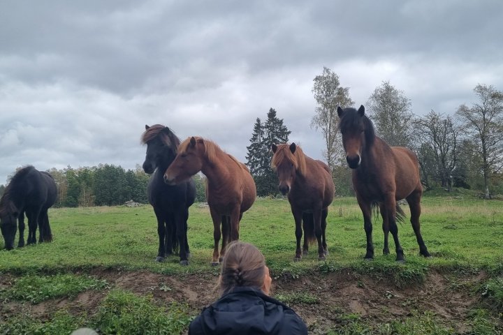 Scandtrack Kanutour Schweden 20210922131614