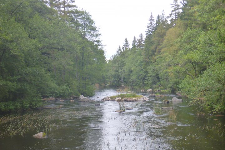 Scandtrack Kanutour Schweden P1290444