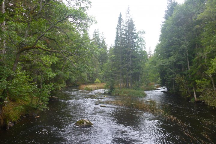 Scandtrack Kanutour Schweden P1290446