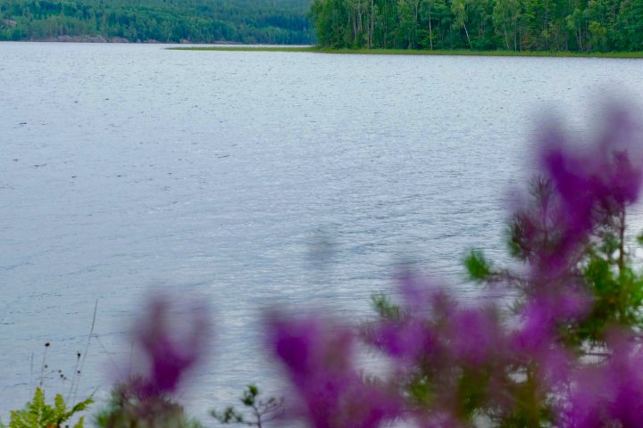 Scandtrack Kanutour Schweden P1030441
