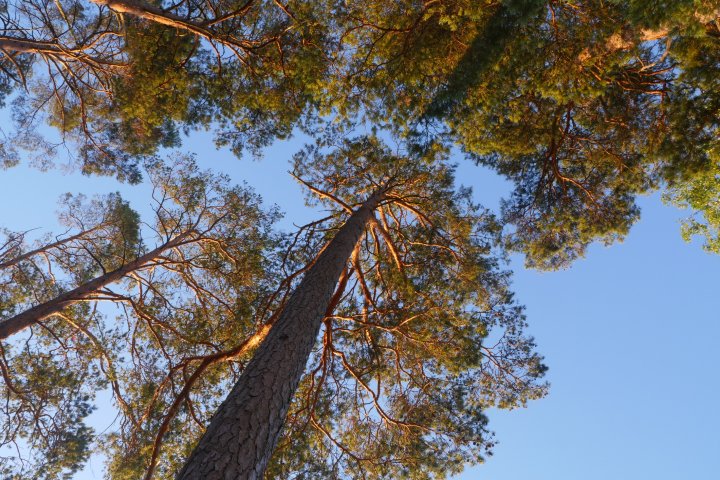 Scandtrack Kanutour Schweden P1030843