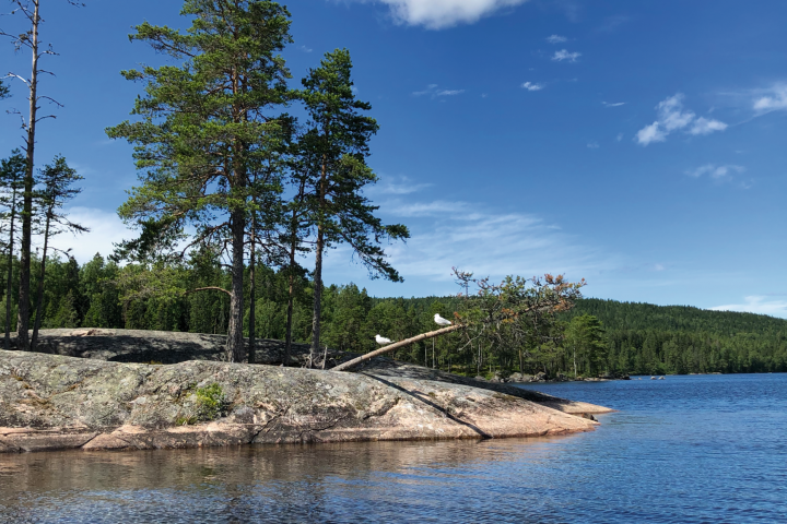 Scandtrack Kanutour Schweden 11IMG3546