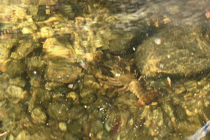 Scandtrack Kanutour Schweden IMG8082