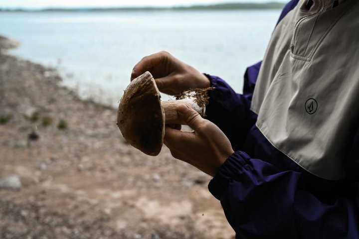Scandtrack Kanutour Schweden 28