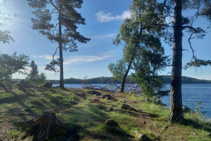 Scandtrack Kanutour Schweden 18-Der-Wanderweg-bei-Dano-47