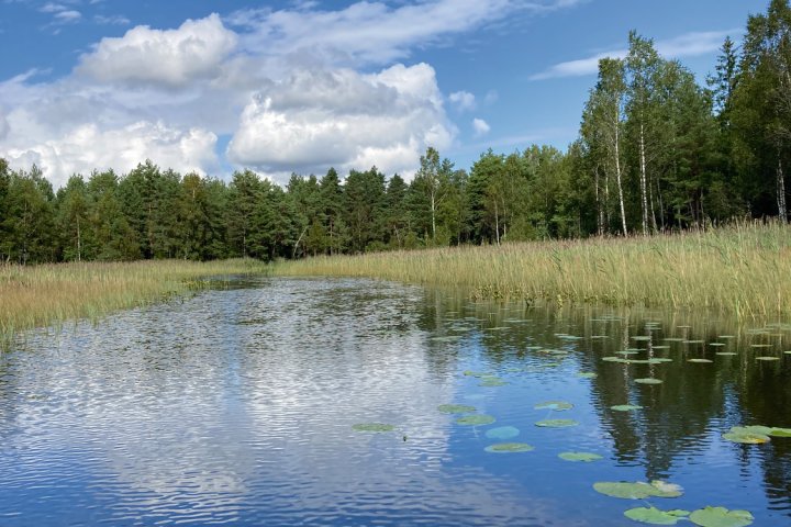 Scandtrack Kanutour Schweden image00019
