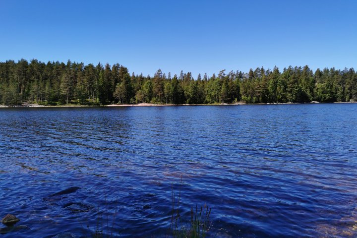 Scandtrack Kanutour Schweden IMG20220605122431