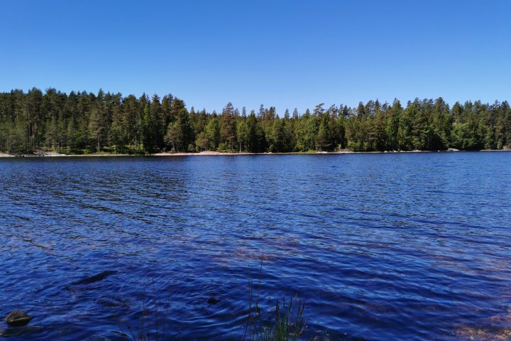 Scandtrack Kanutour Schweden IMG20220605122432