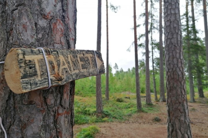 Scandtrack Kanutour Schweden 20220826141605