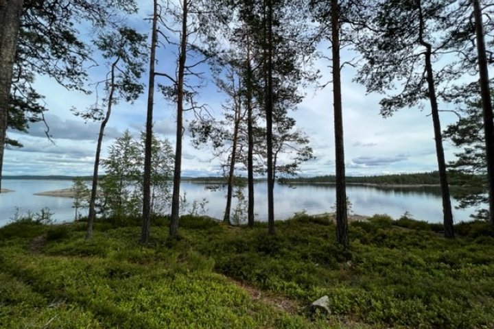 Scandtrack Kanutour Schweden Ausblick