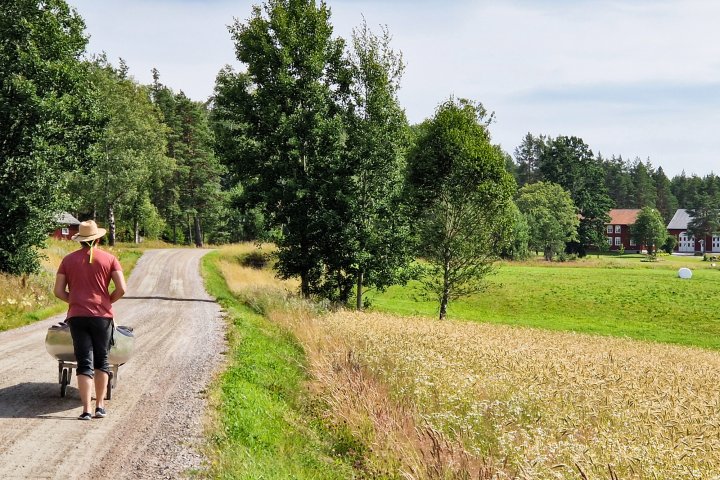 Scandtrack Kanutour Schweden 16