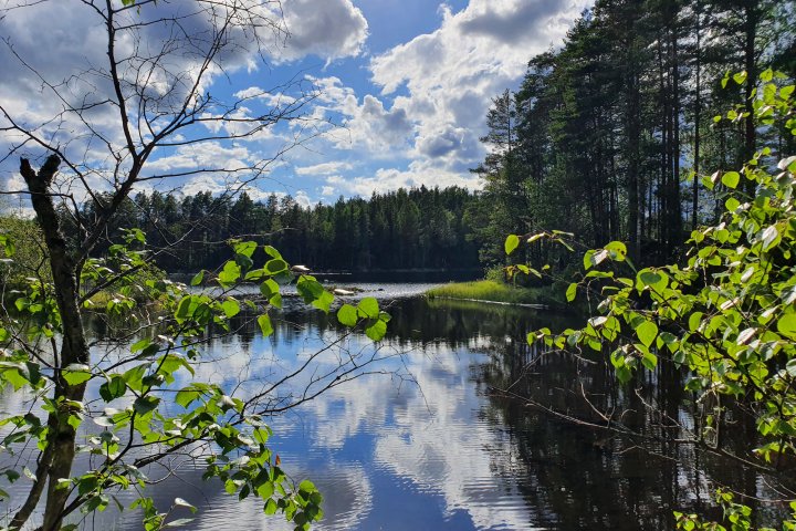 Scandtrack Kanutour Schweden 20220805165953