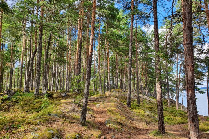Scandtrack Kanutour Schweden 20220805171201
