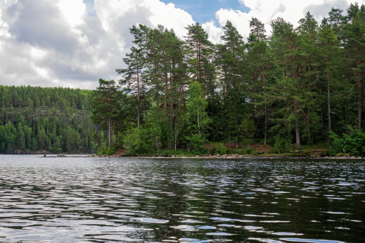 Scandtrack Kanutour Schweden 6AussichtDalsland