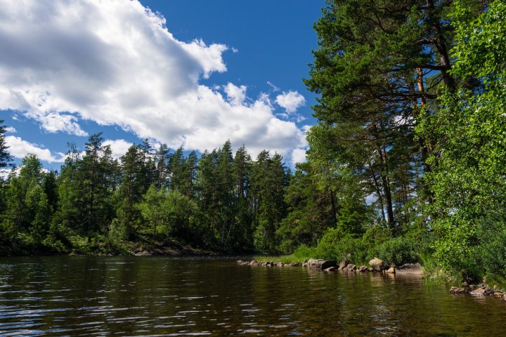 Scandtrack Kanutour Schweden 10AussichtDalsland