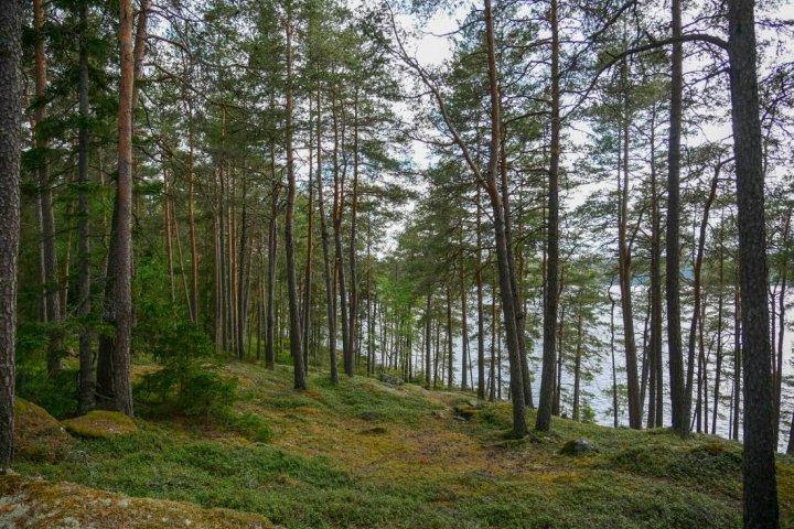 Scandtrack Kanutour Schweden image011