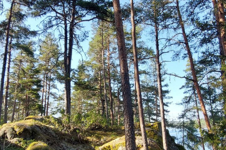Scandtrack Kanutour Schweden 20230521173652
