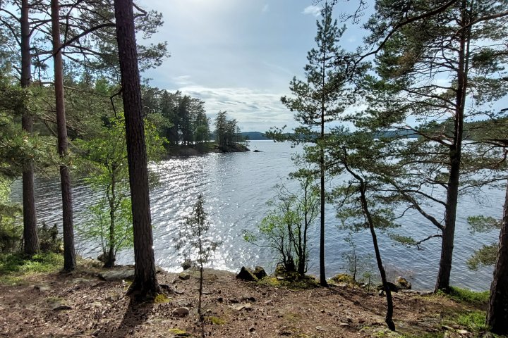 Scandtrack Kanutour Schweden 20230523171708