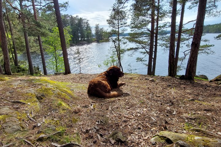 Scandtrack Kanutour Schweden 20230523172344