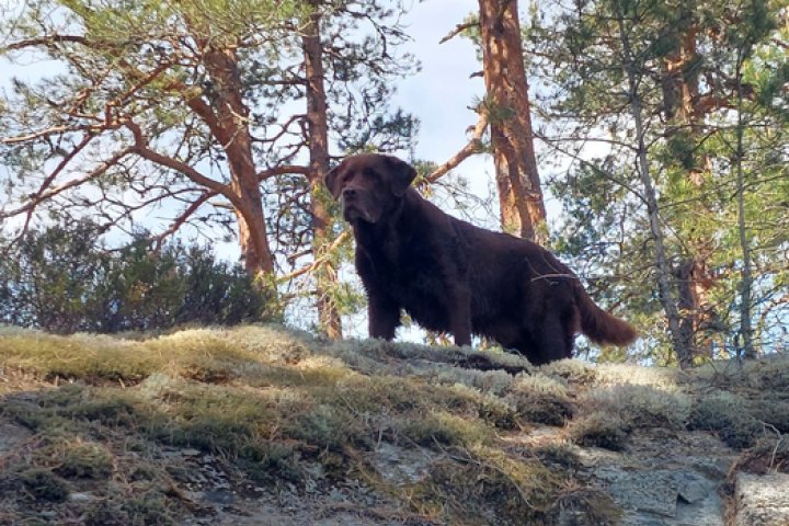 Scandtrack Kanutour Schweden 20230524122430