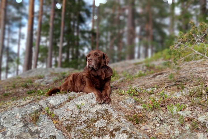 Scandtrack Kanutour Schweden 20230524173223