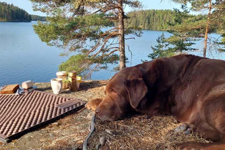 Scandtrack Kanutour Schweden 20230526071328