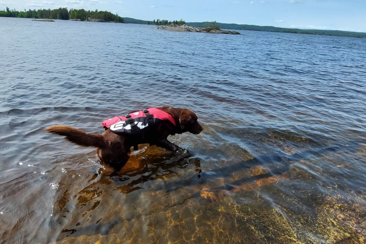 Scandtrack Kanutour Schweden 20230526113303