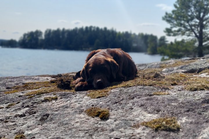 Scandtrack Kanutour Schweden 20230526153350