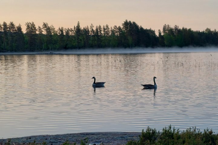 Scandtrack Kanutour Schweden 20230527051914