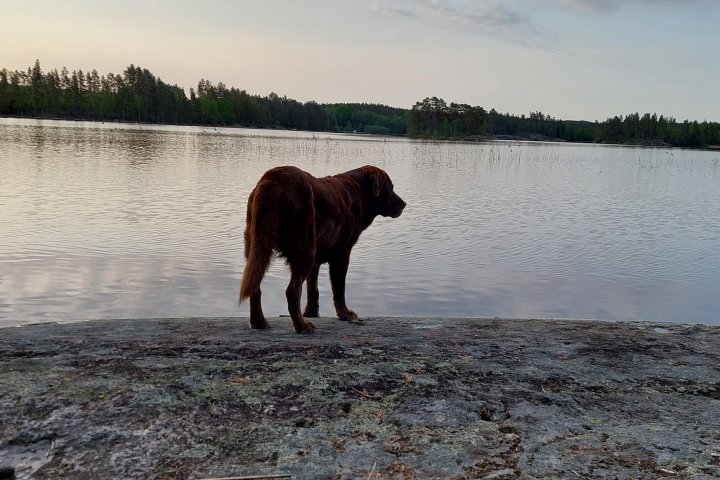 Scandtrack Kanutour Schweden 20230527062920