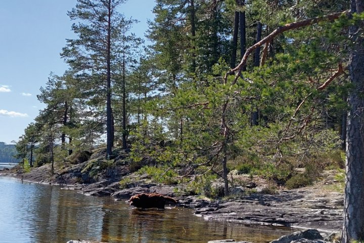 Scandtrack Kanutour Schweden 1684671106349